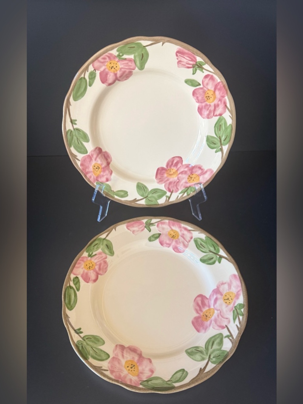 Franciscan Desert Rose Dinner Plates Set 2 England Cottagecore Pink Floral